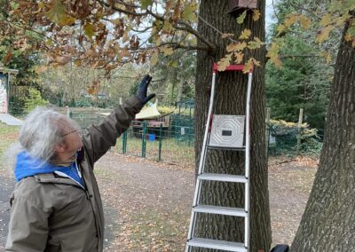 Yaşlı bir adam, ağaca monte edilmiş bir yuva kutusuna uzanıyor. Ceket ve güvenlik eldivenleri giymiş, bir merdivenin yanında duruyor.