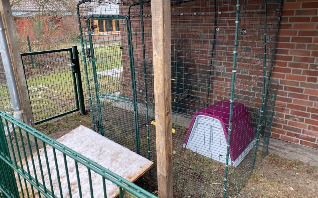 Der neue Hühnerstall der Grundschule Hude-Süd zeigt einen stabilen Zaun, ein geschütztes Nest und Platz zum Bewegen im Freien. Nach Ostern ziehen hier die Hühner ein.