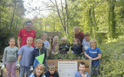 Oldenburg Devlet Tasarruf Bankası'nın yükseltilmiş yatak kampanyası