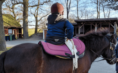 Терапевтична верхова їзда